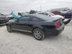 2005 Ford Mustang