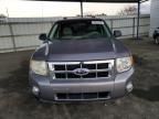 2008 Ford Escape HEV