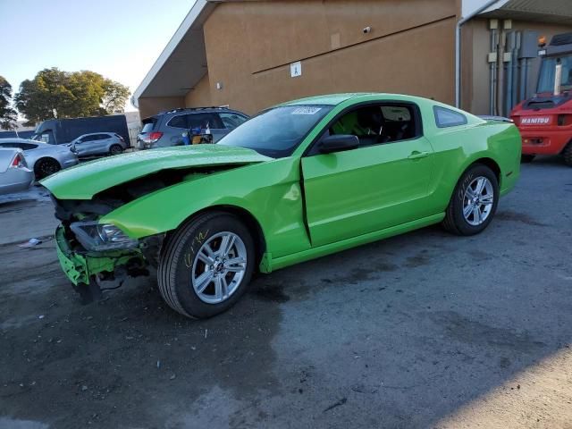 2013 Ford Mustang