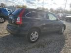 2010 Honda CR-V EXL