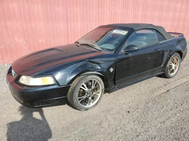 1999 Ford Mustang