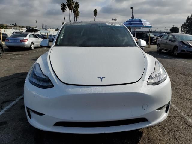 2020 Tesla Model Y