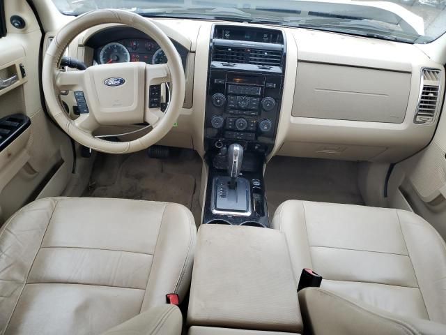 2010 Ford Escape Limited