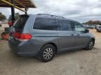 2010 Honda Odyssey EXL