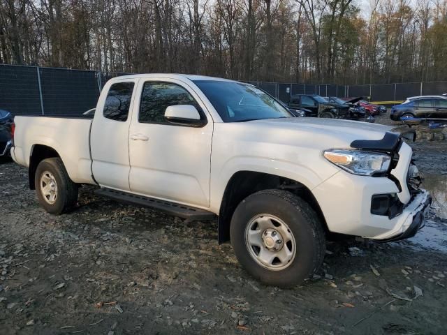 2023 Toyota Tacoma Access Cab