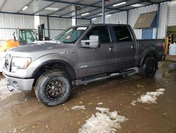 Salvage cars for sale from Copart Brighton, CO: 2011 Ford F150 Supercrew