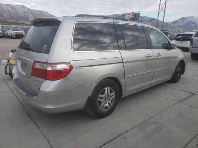 2005 Honda Odyssey EXL