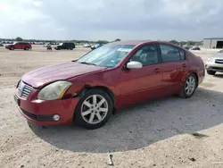 2005 Nissan Maxima SE en venta en San Antonio, TX