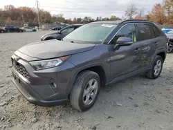 2019 Toyota Rav4 XLE en venta en Waldorf, MD