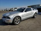 2006 Ford Mustang