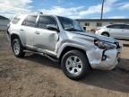 2024 Toyota 4runner SR5/SR5 Premium