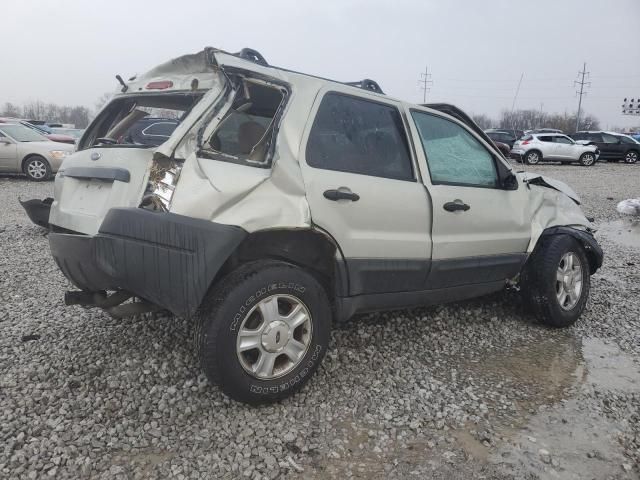 2004 Ford Escape XLT