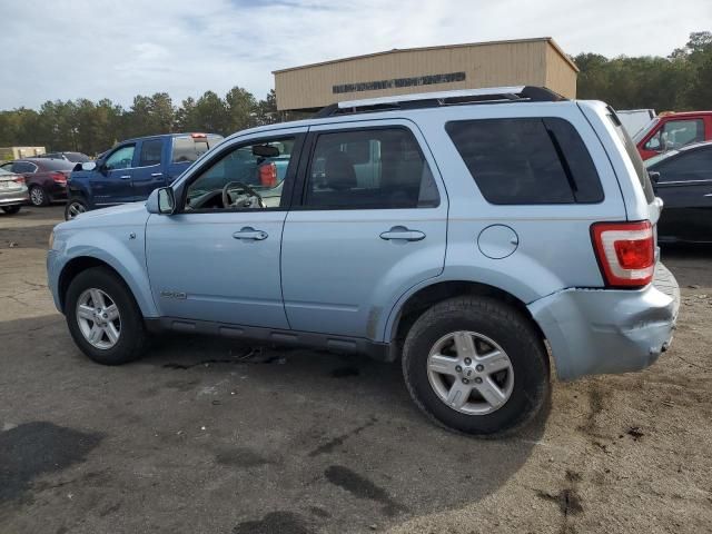 2008 Ford Escape HEV