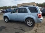 2008 Ford Escape HEV