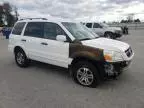 2004 Honda Pilot EXL