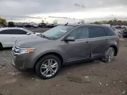 Vehiculos salvage en venta de Copart Indianapolis, IN: 2013 Ford Edge Limited