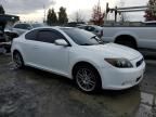 2010 Scion TC