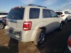 2009 Ford Escape Limited