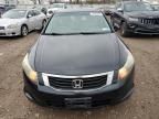 2009 Honda Accord LXP