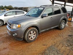 Carros salvage sin ofertas aún a la venta en subasta: 2011 Ford Escape Limited