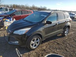 Salvage cars for sale from Copart Des Moines, IA: 2016 Ford Escape SE