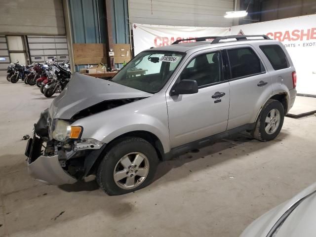 2010 Ford Escape XLT