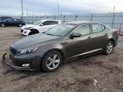 Salvage cars for sale at Greenwood, NE auction: 2014 KIA Optima LX