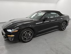 Salvage cars for sale from Copart Van Nuys, CA: 2022 Ford Mustang