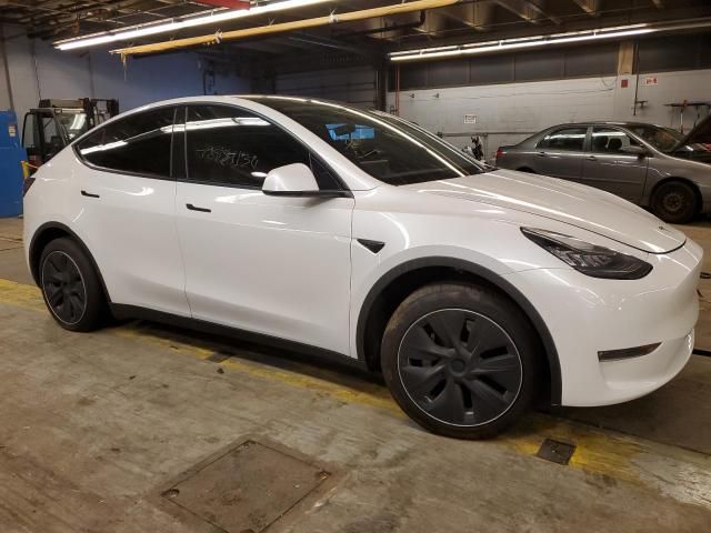 2020 Tesla Model Y