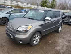 Salvage cars for sale at Davison, MI auction: 2011 KIA Soul +