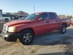 2006 Dodge Dakota Quad SLT