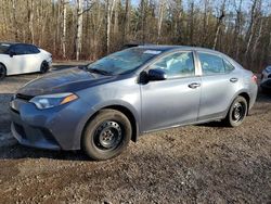 Salvage cars for sale from Copart Ontario Auction, ON: 2014 Toyota Corolla L