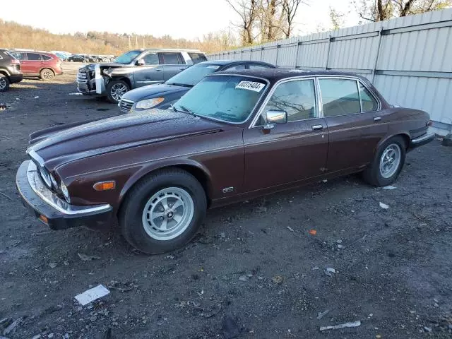 1984 Jaguar XJ6