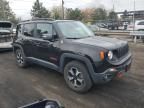 2019 Jeep Renegade Trailhawk