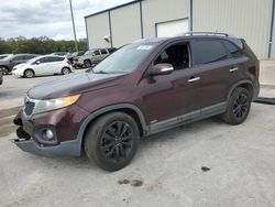 Salvage cars for sale at auction: 2011 KIA Sorento EX