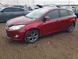 Ford Focus se salvage cars for sale: 2013 Ford Focus SE