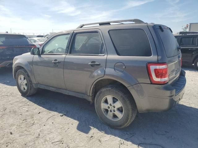 2010 Ford Escape XLT