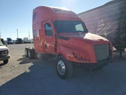 Salvage trucks for sale at Anthony, TX auction: 2023 Freightliner Cascadia 126