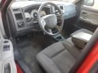 2006 Dodge Dakota SLT