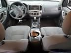 2005 Ford Escape XLT