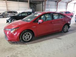 Toyota salvage cars for sale: 2020 Toyota Corolla LE