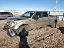 Salvage cars for sale at Rapid City, SD auction: 2013 Ford F150 Supercrew