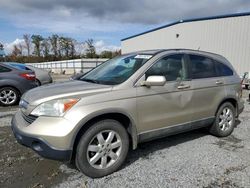 Salvage cars for sale from Copart Spartanburg, SC: 2008 Honda CR-V EXL