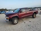 2003 Dodge Dakota SLT