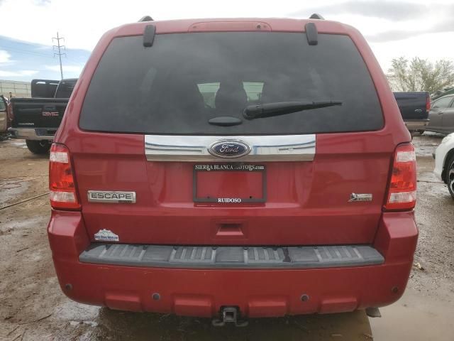 2011 Ford Escape Limited