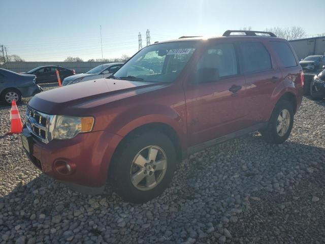 2009 Ford Escape XLT