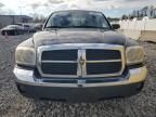 2005 Dodge Dakota Quad SLT