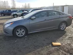 Salvage cars for sale at Arlington, WA auction: 2014 Hyundai Sonata GLS