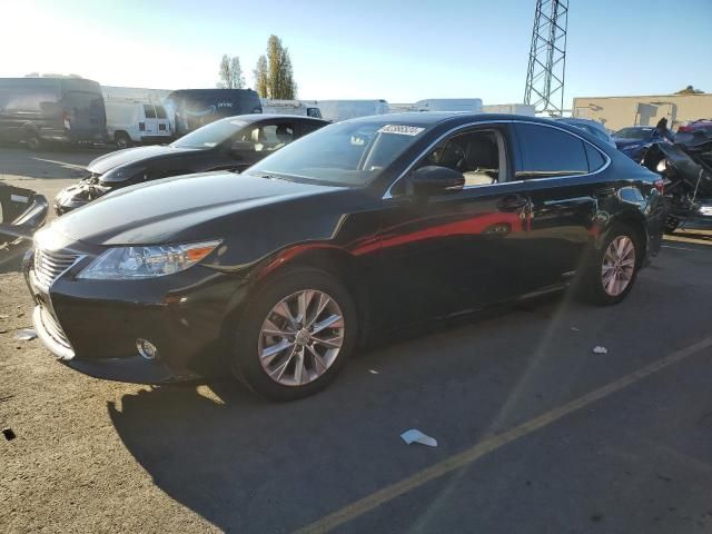 2014 Lexus ES 300H