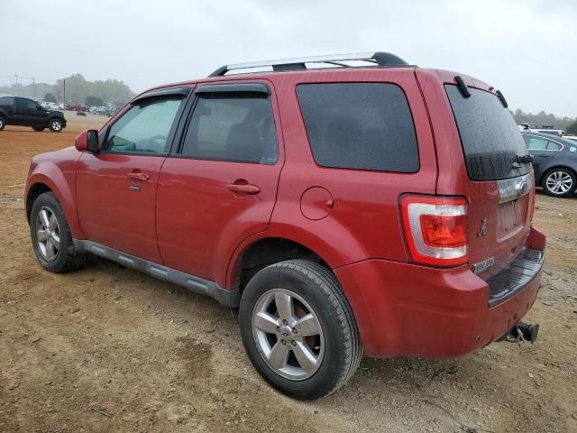 2011 Ford Escape Limited